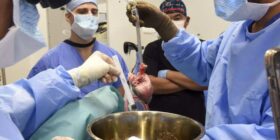 Paciente vivo recebe primeiro transplante de rim de porco geneticamente modificado
