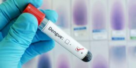 Dengue: Brasil quebra recorde histórico com 1,8 milhão de casos em 2024