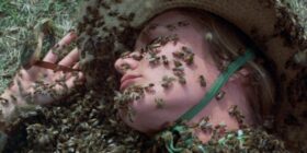 10 melhores filmes com abelhas, aranhas e outros insetos assassinos