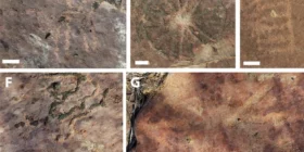 Pinturas rupestres e pegadas de dinossauros de 145 milhões de anos são encontradas no Brasil