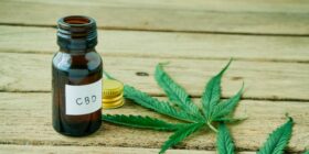 SP: remédios à base de Cannabis serão distribuídos no SUS a partir de maio