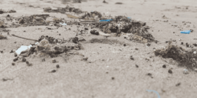 Brasil tem quantidade alarmante de microplástico nas praias; revela estudo