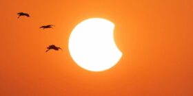 Eclipse solar impulsiona economia dos EUA em US$ 6 bilhões