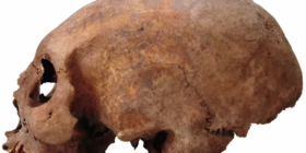 Crânios deformados de mulheres da era viking são descobertos em ilha báltica
