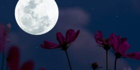 “Lua Rosa” tem início nesta terça-feira (23); o que significa isso?