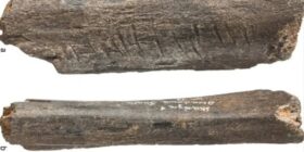 Gravuras em osso são o mais antigo registro de cultura neandertal