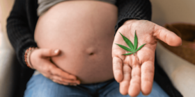 Cannabis e nicotina na gravidez quadruplicam risco de óbito infantil