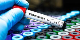 Vigilância pode prever epidemias de chikungunya; entenda