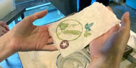 Cientistas transformam papel tradicional japonês em material biodegradável e resistente