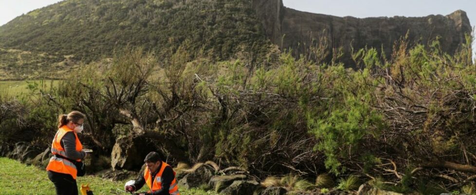 Novo sismo de magnitude 1,8 na escala de Richter sentido na ilha Terceira