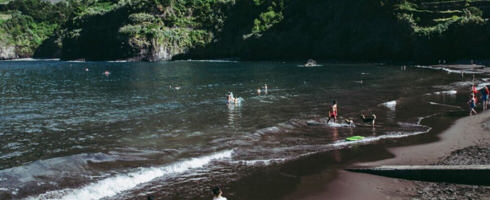 Festival da Natureza da Madeira decorre entre terça-feira e domingo