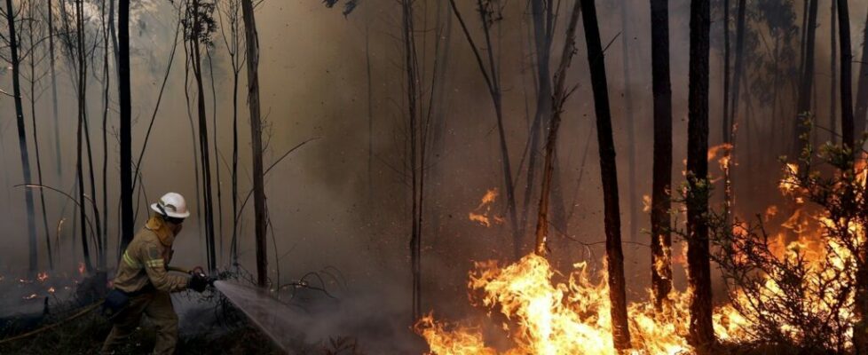 Incêndios. Águas de Aveiro reduz fatura a clientes que combateram fogos em Albergaria