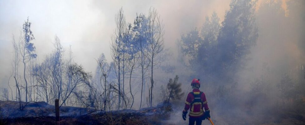 PJ detém homem de 50 anos suspeito de atear oito incêndios no concelho de Braga