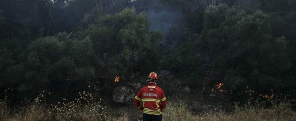 Incêndios. Detido suspeito de atear fogo no concelho de Alenquer no início de setembro