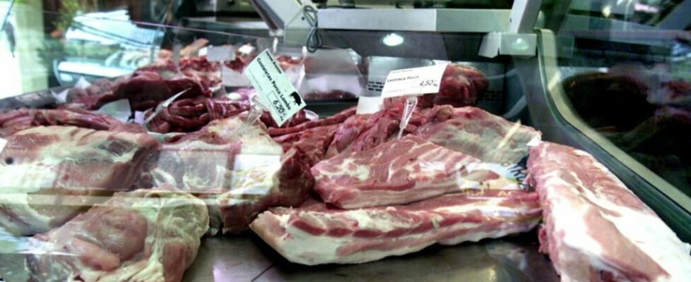 ASAE apreende 410 quilos de carne imprópria para consumo num talho em Barcelos