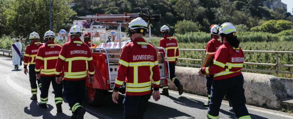 Incêndios. Mais de 250 bombeiros morrerram em serviço nos últimos 44 anos