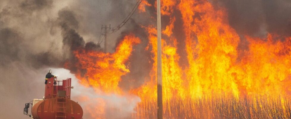 Governo Lula vai multar fazendeiros por incêndios criminosos