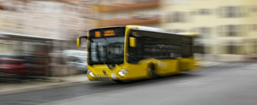 Trabalhadores da Carris de Lisboa iniciam esta terça-feira às 22h00 greve de 24 horas