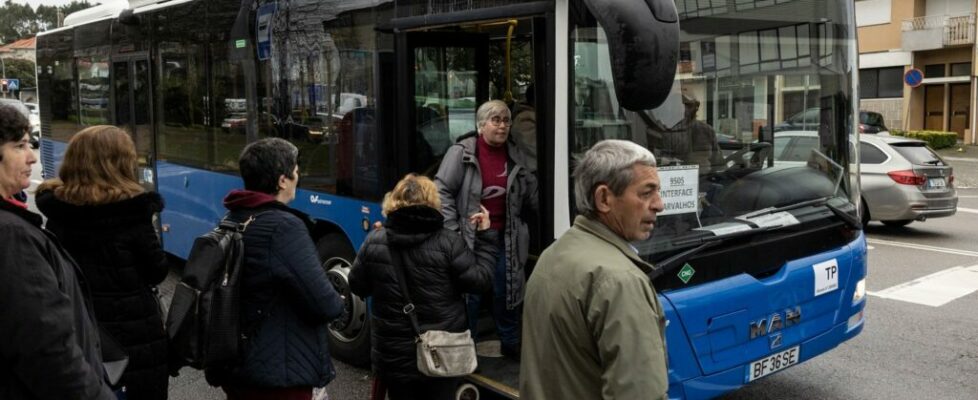 Carla Vale e gestor Luís Osório propostos para gestão da Transportes Metropolitanos do Porto