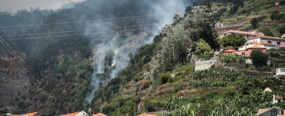 Incêndios na Madeira. Governo Regional fora do plano nacional é “erro estratégico”, afirma associação