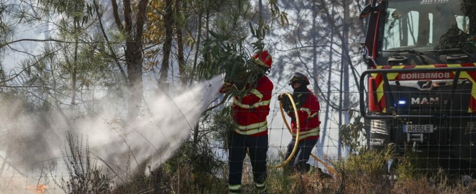 Ministério da Saúde quer acelerar pagamento das dívidas aos bombeiros