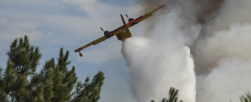 Temperatura pode chegar aos 33 graus. Mais de 60 concelhos de 10 distritos em perigo máximo de incêndio