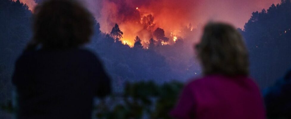 Incêndio Oliveira de Azeméis: “Isto é aflitivo. Estamos impotentes”