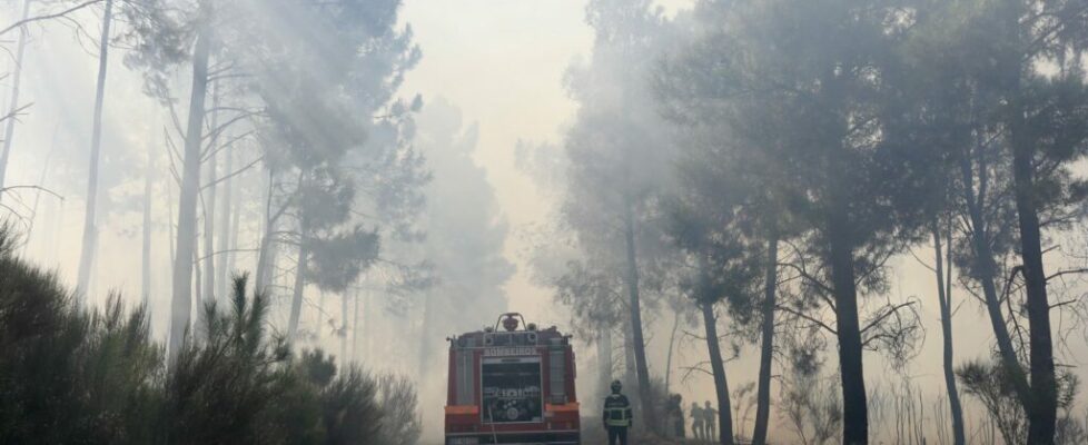 Incêndio Oliveira de Azeméis. “São incontáveis as frentes do incêndio”