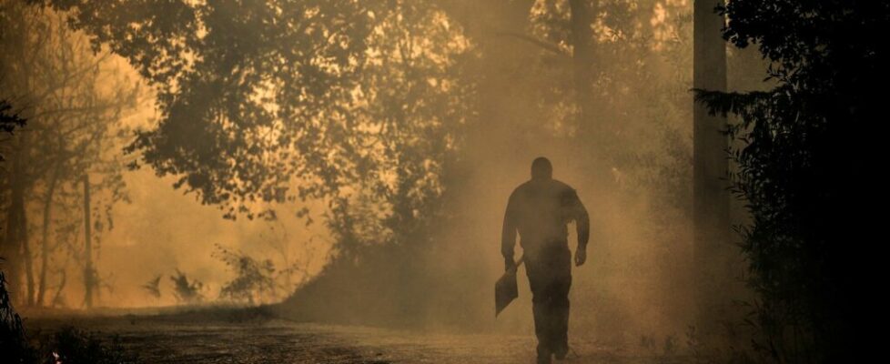 Incêndio Oliveira de Azeméis. Fogo “perto de zonas urbanas”