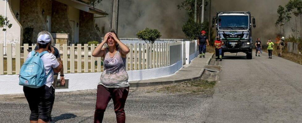 “Cenário dantesco” e “inferno”: as fotos e vídeos dos incêndios em redor de Albergaria-a-Velha e Sever do Vouga