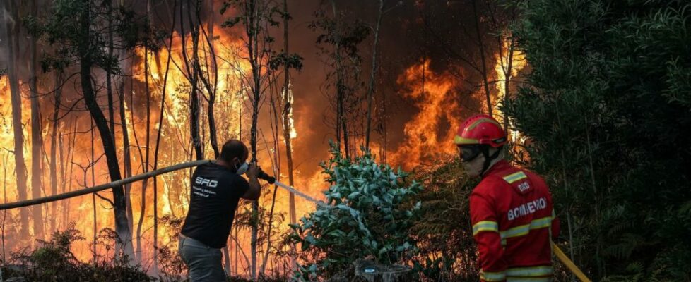 Dez mil hectares ardidos entre a Área Metropolitana do Porto e Aveiro