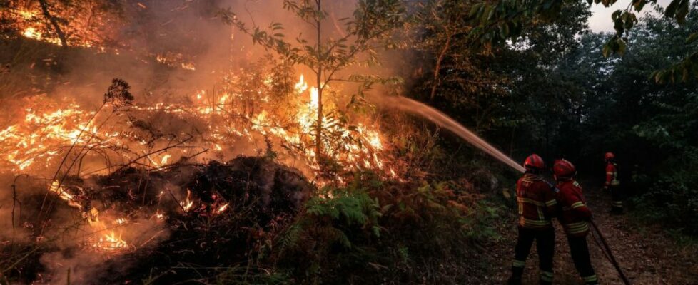 Mais de 100 concelhos mantêm-se em perigo máximo de incêndio rural