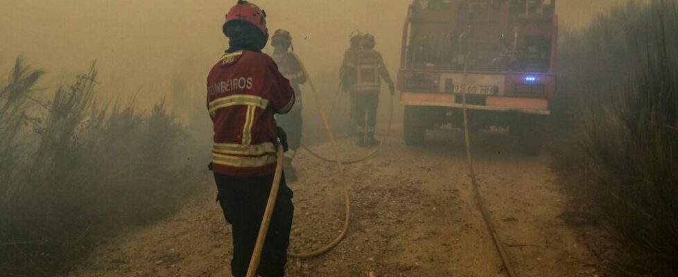 Incêndios. Penalva do Castelo aprova voto de louvor para entidades que combateram fogos