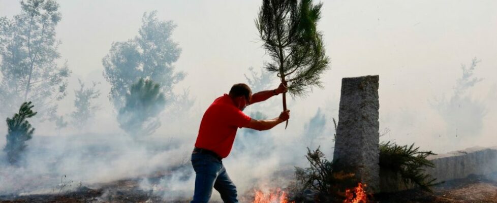 “Acima de tudo por causa dos populares”. Incêndio em Mangualde está dominado