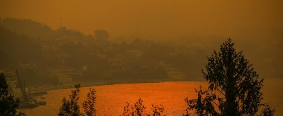 Incêndios. Brasil expressa pesar pelas vítimas e apela a parceria contra alterações climáticas