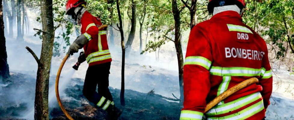 Mais de 121 mil hectares arderam em Portugal continental desde domingo