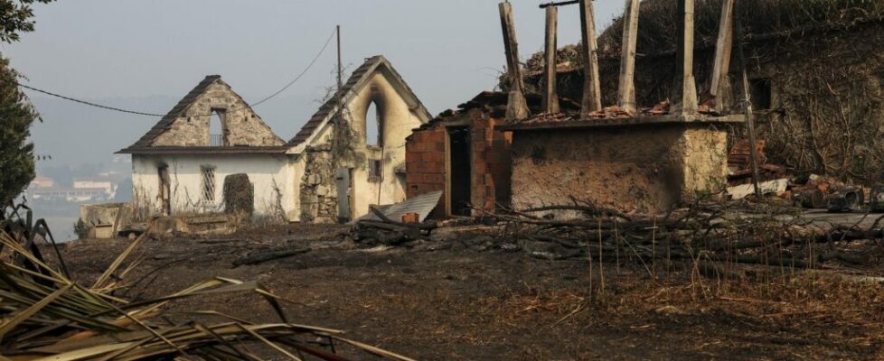 Protestos contra incêndios marcados para este domingo em 12 localidades