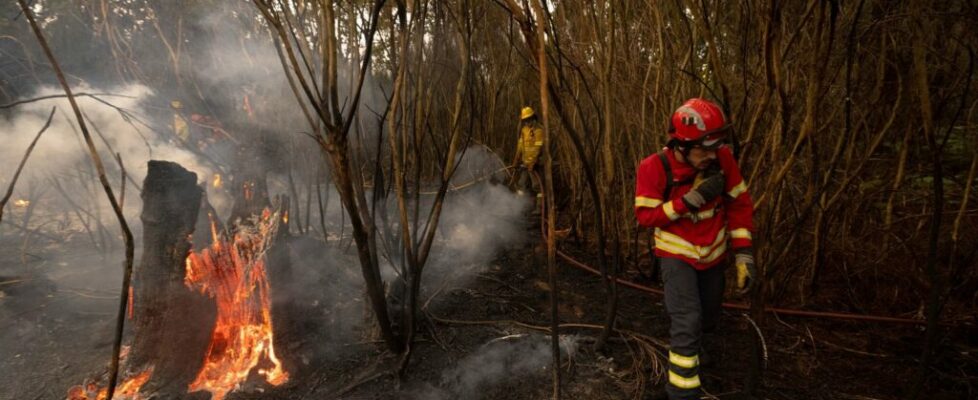 Incêndios: Presidente e primeiro-ministro visitam juntos áreas ardidas na segunda-feira