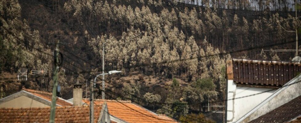 Prisão preventiva para homem suspeito de atear incêndio em Albergaria