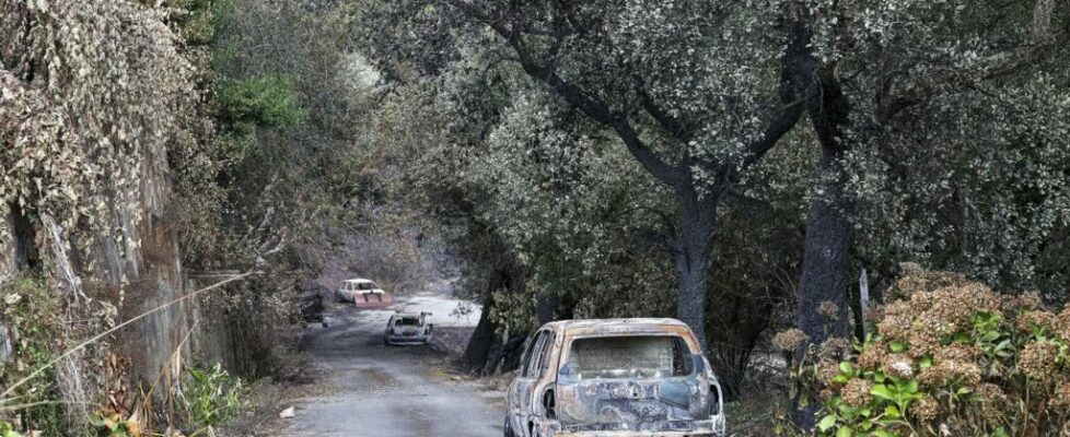 Governo admite relação de fogos com alterações climáticas