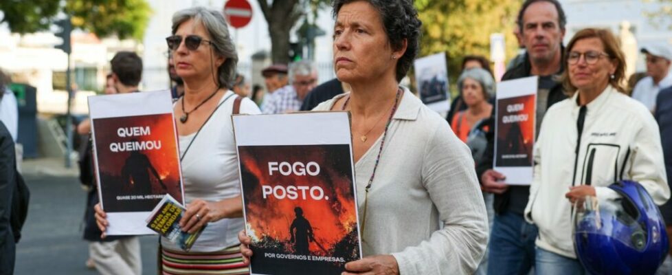 “Governo e Navigator são os culpados” pelas mortes nos incêndios