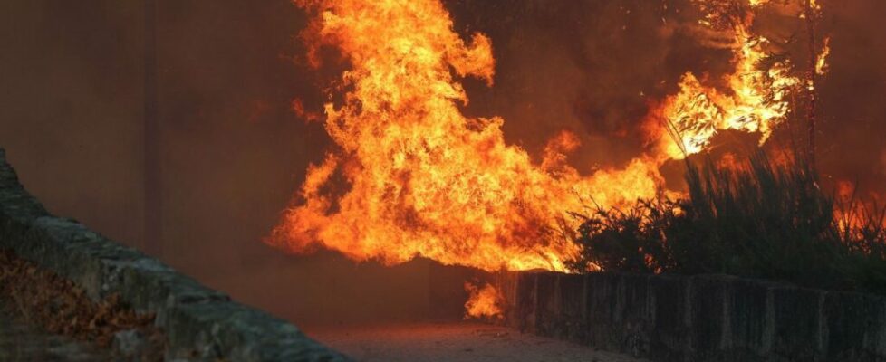 População a apagar o fogo, aldeias em risco e o trabalho dos bombeiros: as fotos dos incêndios em Penalva do Castelo