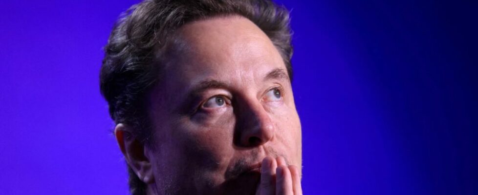 Nos EUA, Elon Musk consulta advogada brasileira sobre conflitos com o STF