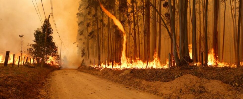 Número de incêndios ultrapassa a marca de 5 mil em apenas um dia