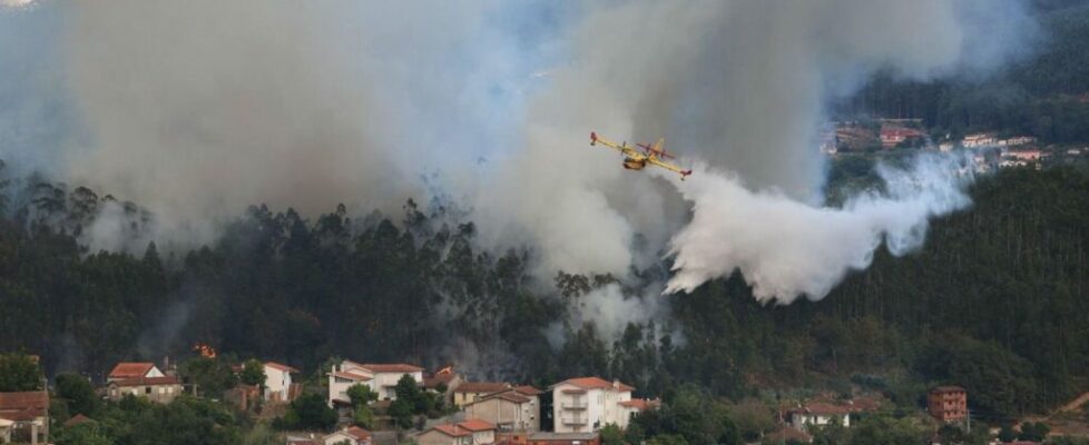 Incêndios. “Demasiada fé nos meios aéreos”