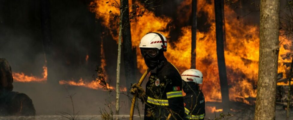 Combinação atípica de fatores (única em duas décadas) potenciou as chamas. Situações extremas vão ser mais frequentes, avisam especialistas