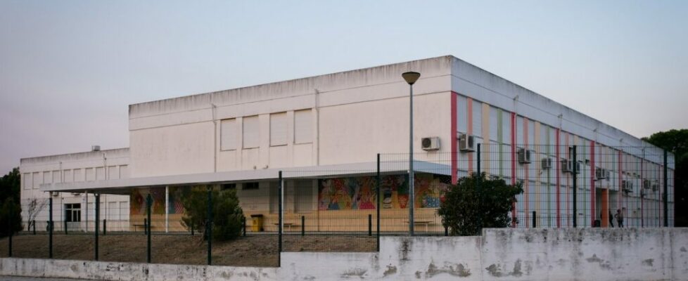 Aluno que esfaqueou colegas em escola na Azambuja colocado em centro educativo