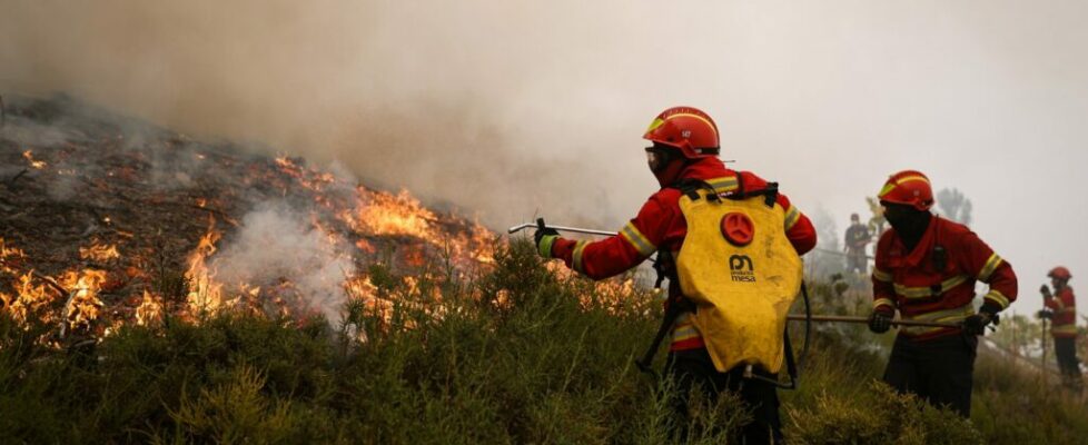 Incêndios. Número de emergência 112 recebeu 9.000 chamadas em cinco dias