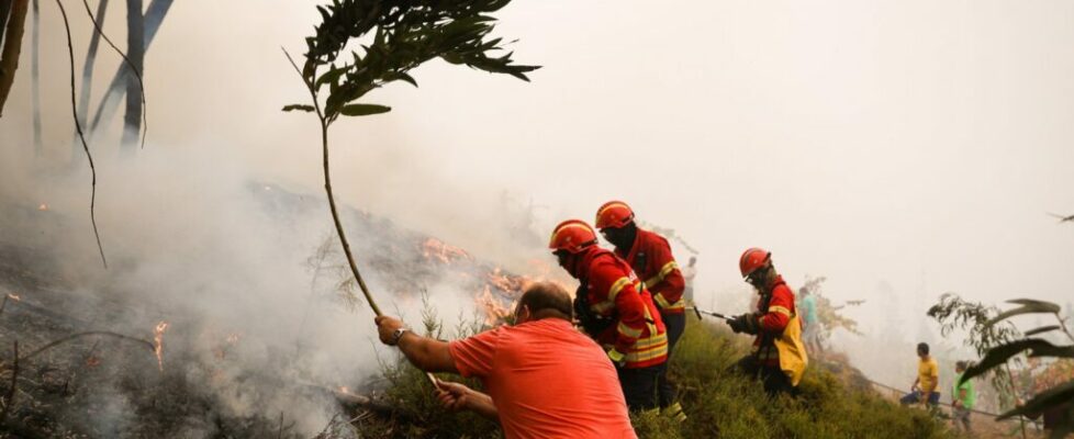 Incêndios: Bloco acusa Governo de “desviar atenções” da falta de ordenamento do território