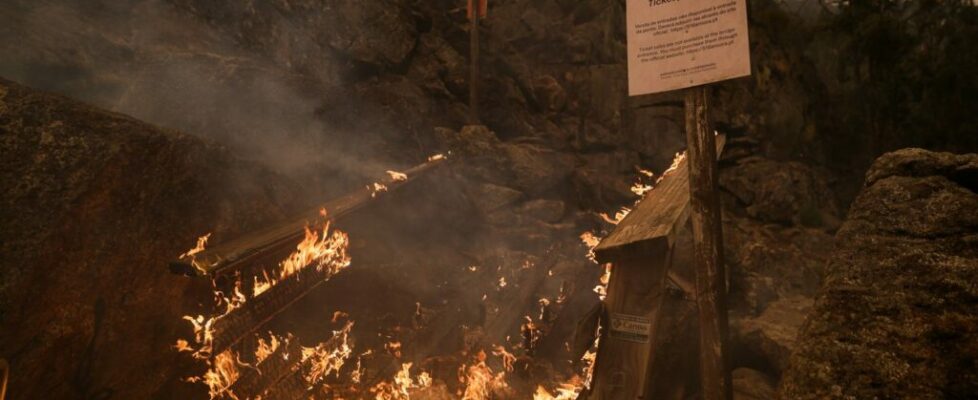 Incêndios. Área ardida em Arouca corresponde a 20% do concelho